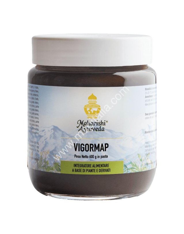 VIGORMAP Pasta 600g