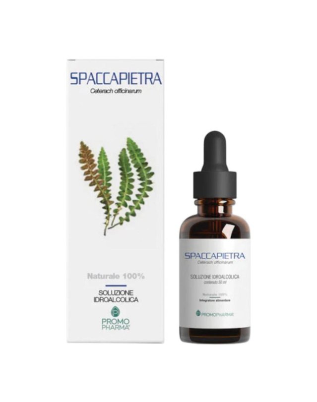 SPACCAPIETRA 50ML
