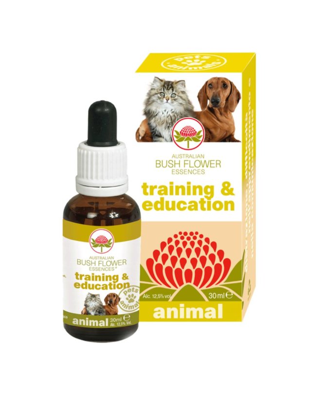 TRAINING & EDUCATION 30ML