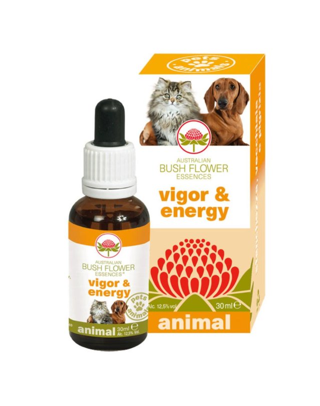 V BUSH PET VIGOR & ENERGY 30ML G