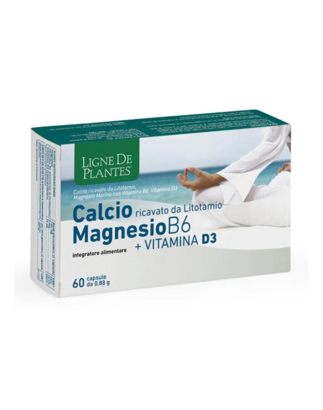CALCIO/MG B6+Vit.D3 60 Cps NSE