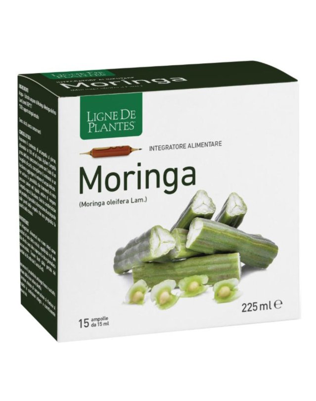 MORINGA 15AB 15ML MORINGA 15AB 15ML