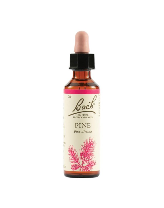 PINE BACH ORIG 20ML