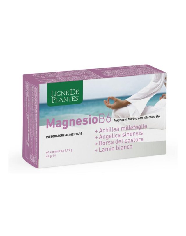 MAGNESIO B6+ACHILLEA+ANGELICA+ MAGNESIO B6+ACHILLEA+ANGELICA+