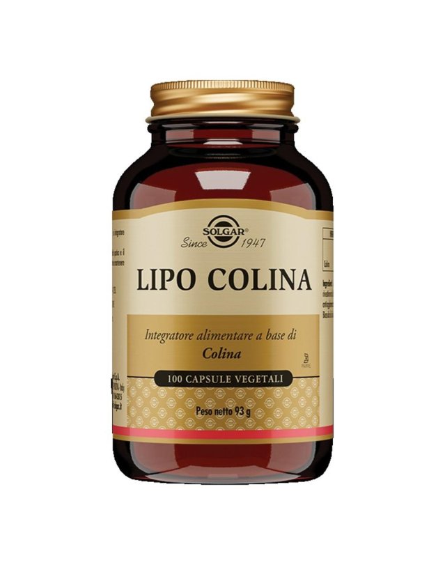 LIPO COLINA 100 Cps 100mgSOLGA