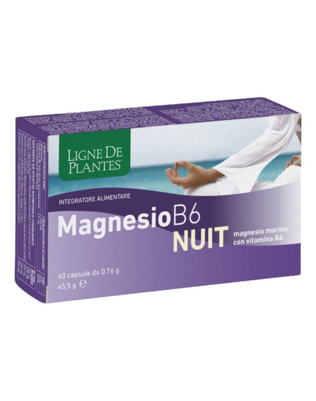 MAGNESIO B-6 NUIT 60CPS MAGNESIO B-6 NUIT 60CPS