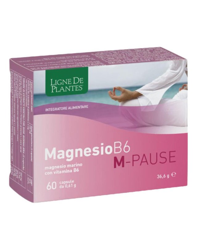 MAGNESIO B6 M-PAUSE 66CPS MAGNESIO B6 M-PAUSE 66CPS