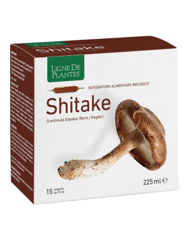 LIGNE SHITAKE BIO 15AMP 15ML LIGNE SHITAKE BIO 15AMP 15ML