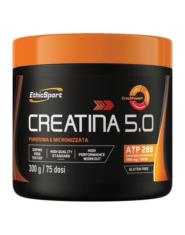CREATINA 5.0 300G CREATINA 5.0 300G