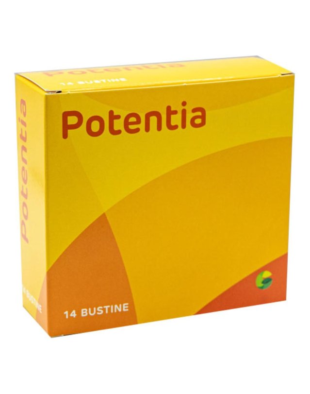 POTENTIA 14BUST POTENTIA 14BUST