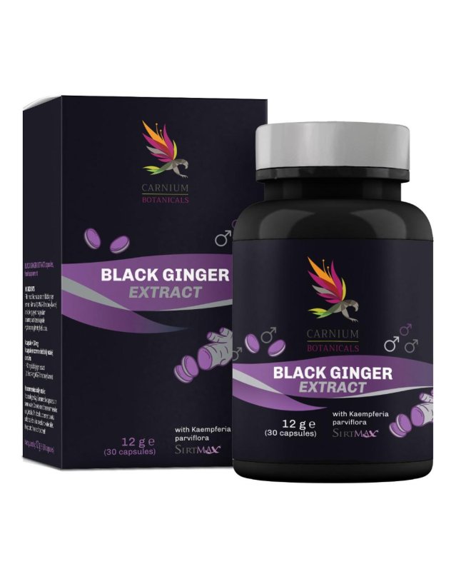 CARNIUM BOT BLACK GINGER 30CPS CARNIUM BOT BLACK GINGER 30CPS