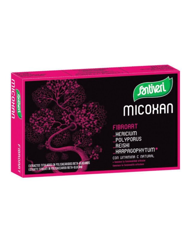 MICOSAN Fibroart 40 Cps    STV