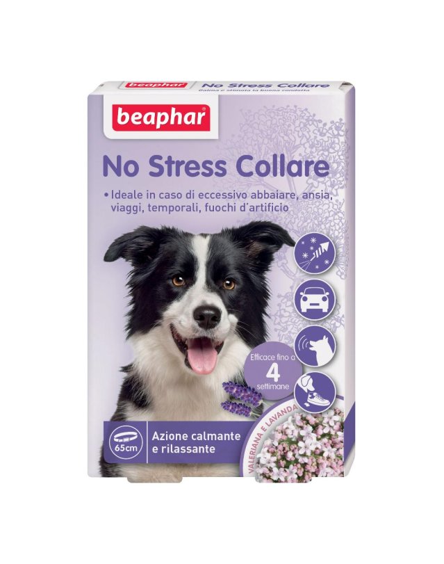 NO STRESS COLLARE CANE