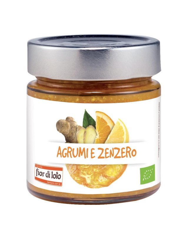 COMPOSTA AGRUMI/ZENZERO BIO