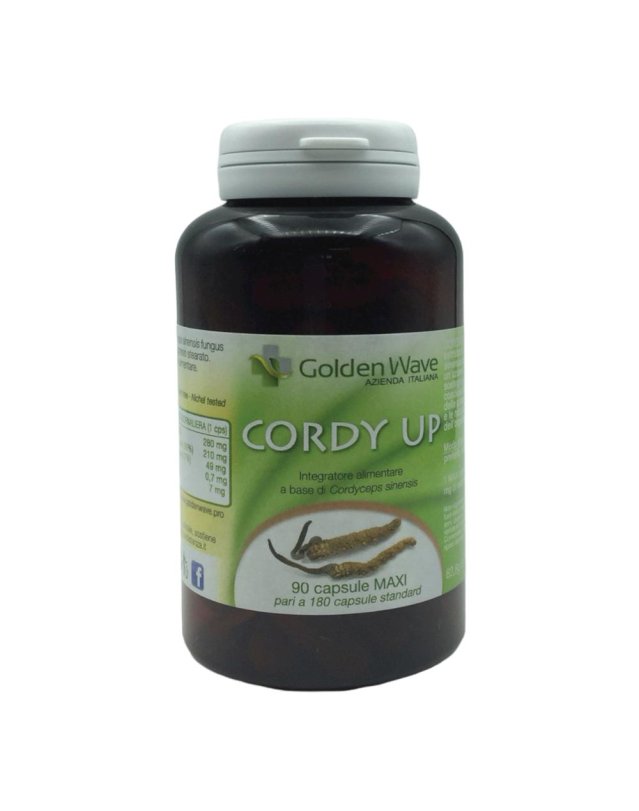 CORDY UP 90MAXI CPS CORDY UP 90MAXI CPS