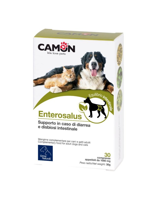 ENTEROSALUS 30CPR 1G