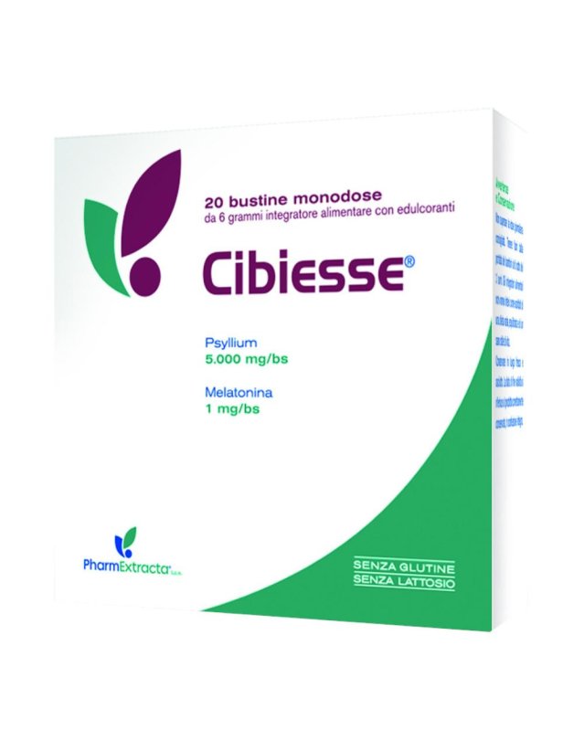 CIBIESSE 20BUST