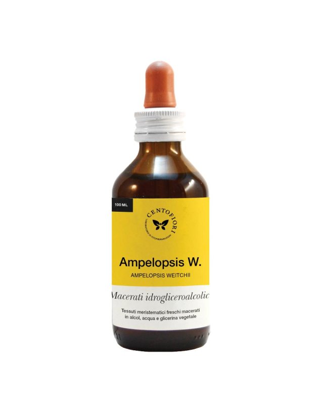 AMPELOPSIS MG 100ML CENTO F AMPELOPSIS MG 100ML CENTO F