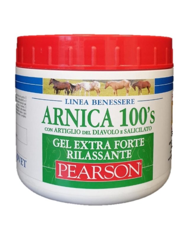 ARNICA 100'S EXTRA FT RIL500ML