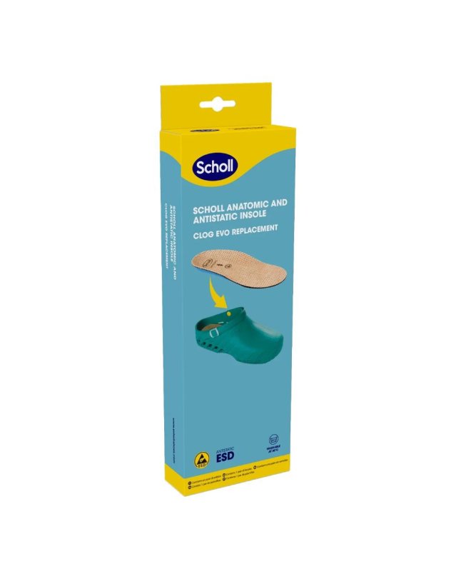 CLOG EVO ANAT ANT INS MIC42-43