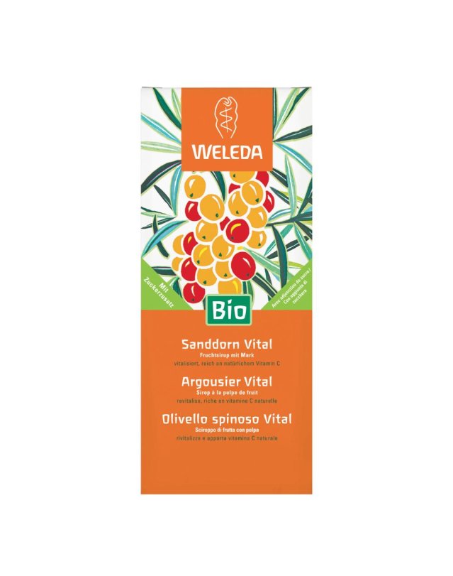 OLIVELLO SPINOSO VITAL SCIR WE