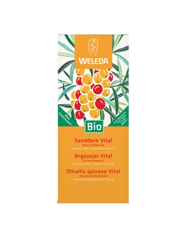 OLIVELLO SPINOSO VITAL SUCCO WE