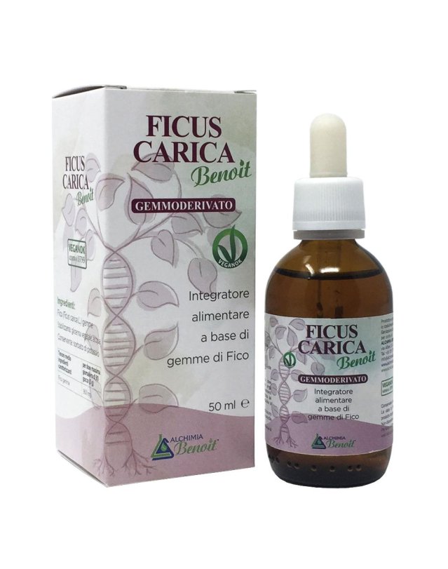 FICUS CARICA GEMMODERIVATO 50ML FICUS CARICA GEMMODERIVATO 50ML