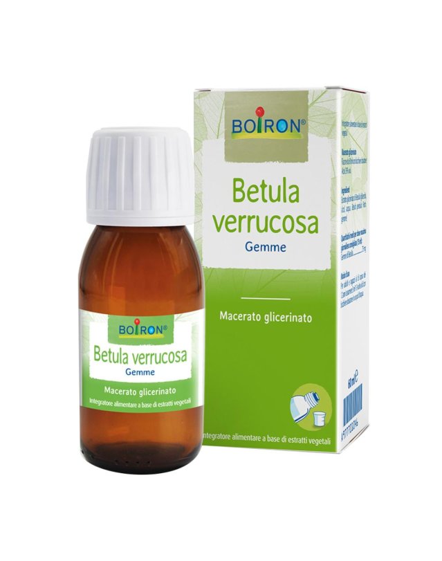 BO.BETULA VER.GEMME 1DH 60ml