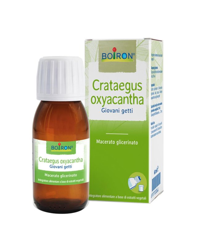 BO.CRATAEGUS OX.1DH MG  60ml