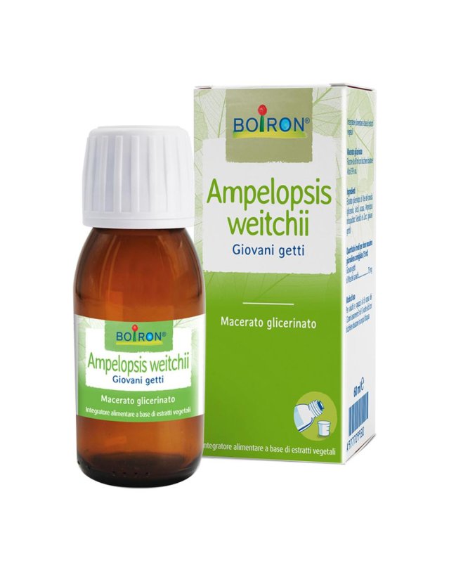 BO.AMPELOPSIS WEI MG I 60ml