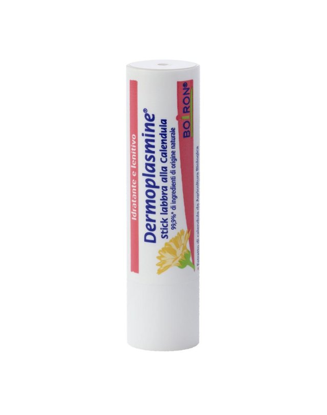 DERMOPLASMINE Stick Labbra 4g