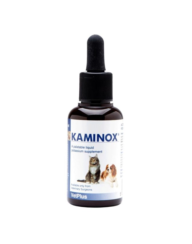 KAMINOX Sciroppo 60ml