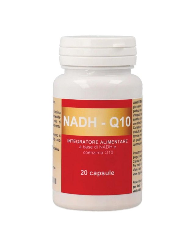 NADH-Q10 20CPS CGN NADH-Q10 20CPS CGN