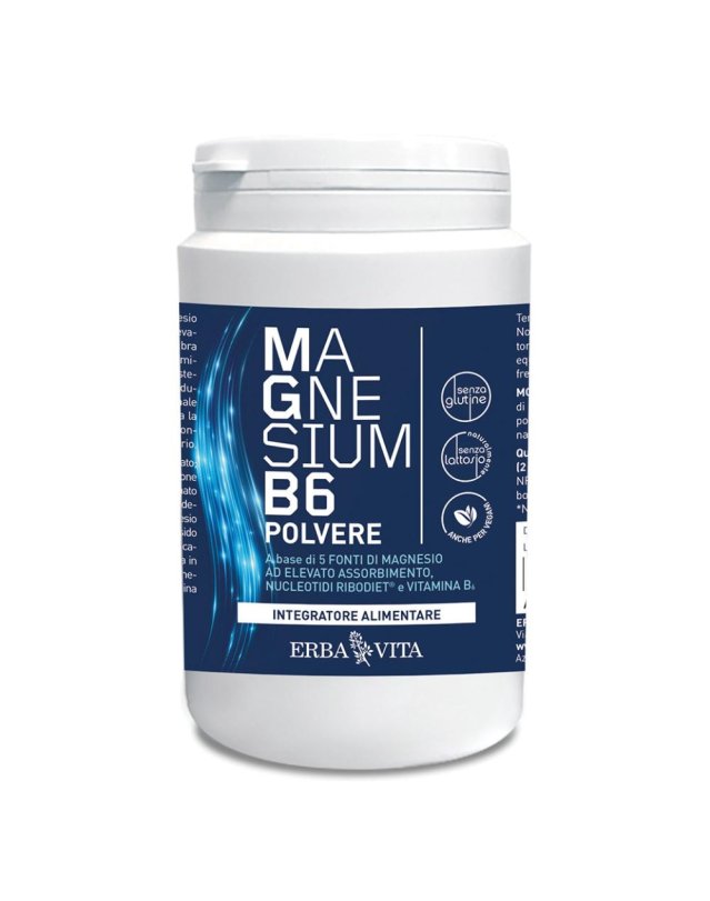 MAGNESIUM B6 Polv.200g     EBV