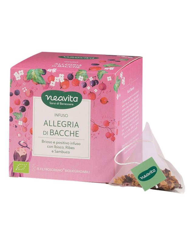 FILTROSCRIGNO ALLEGRIA BA15FIL