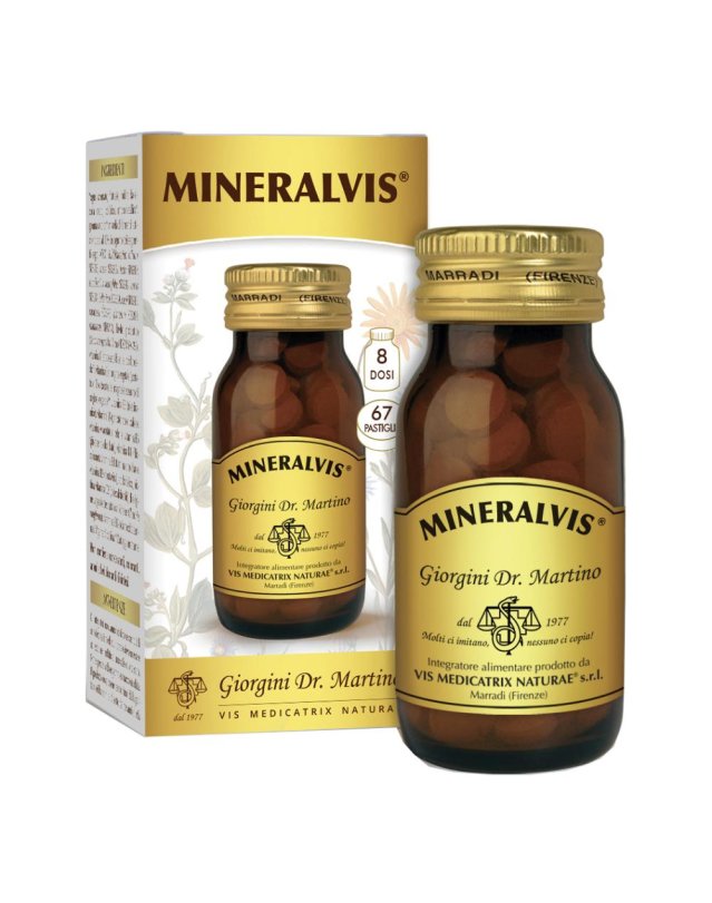 MINERALVIS  67 Past.600mg