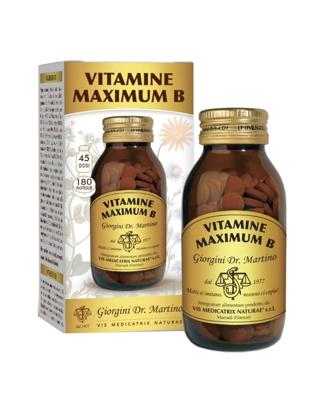 VITAMINE Max B 180 Past.SVS