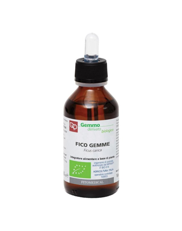 FICO GEMME BIO MG 100ML