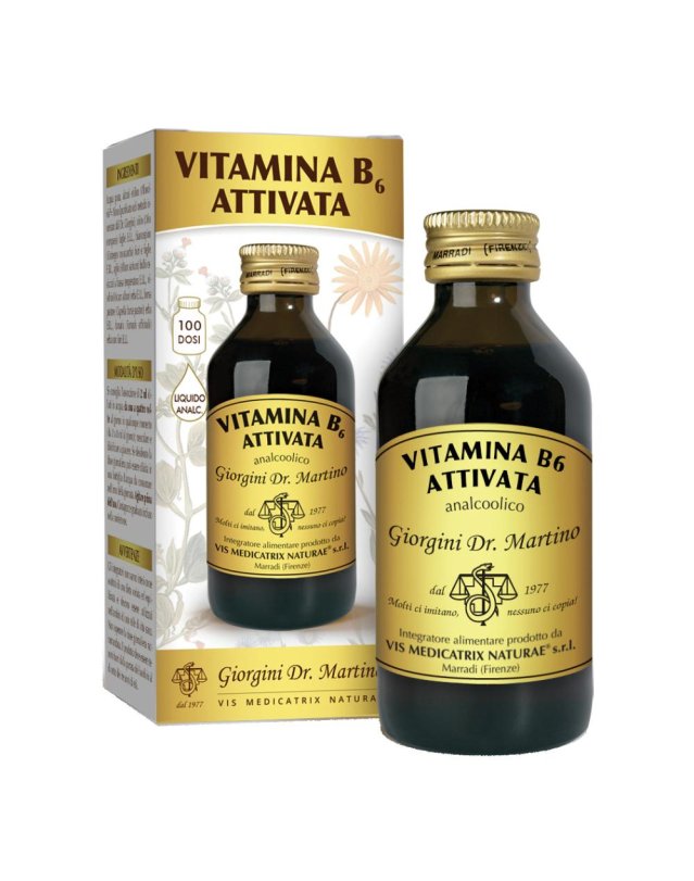 VITAMINA B 6 Att.Liq.100ml SVS