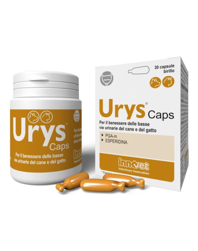 URYS CAPS 30 Cps