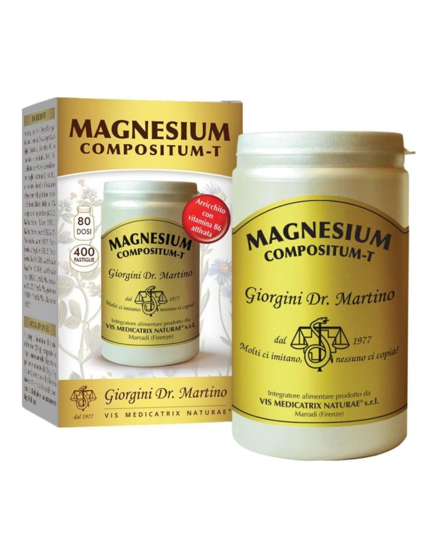 MAGNESIUM Comp-T 400Past.500mg