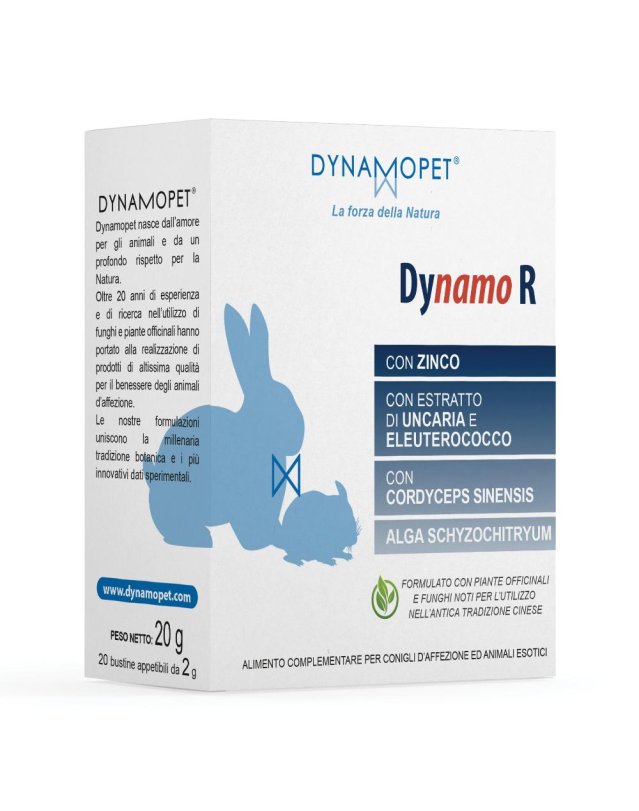 DYNAMO R 20BUST 2G