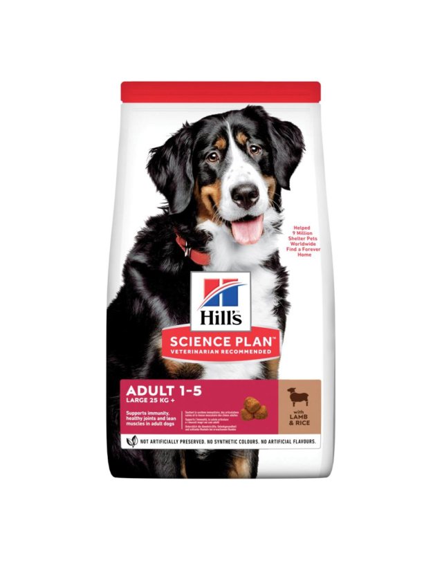 V SP CANINE AD L BREED LAMB 12KG