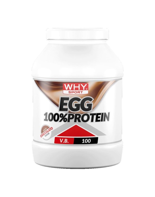 WHYSPORT EGG 100% PROTEIN CIOC