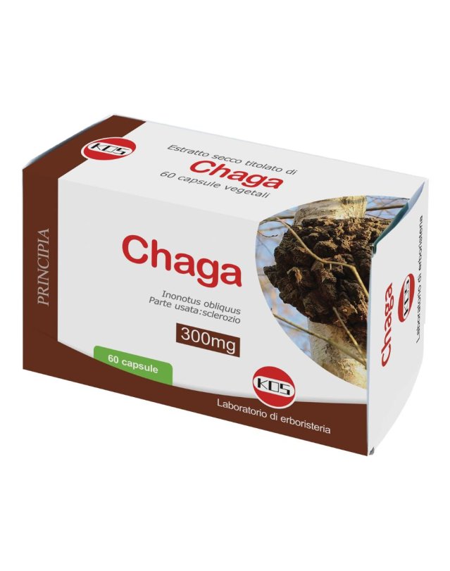 CHAGA ESTRATTO SECCO TIT 60CPS CHAGA ESTRATTO SECCO TIT 60CPS