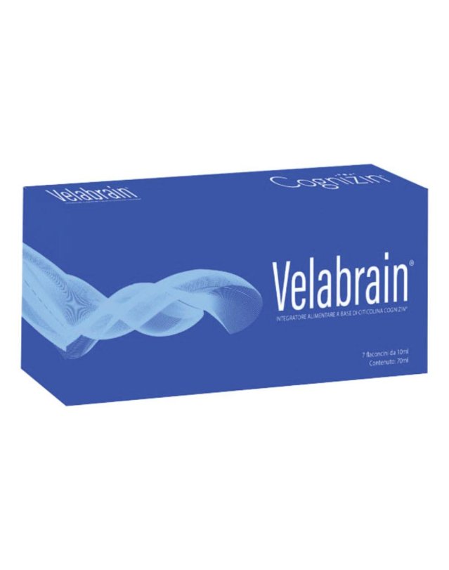 VELABRAIN 7Fl.