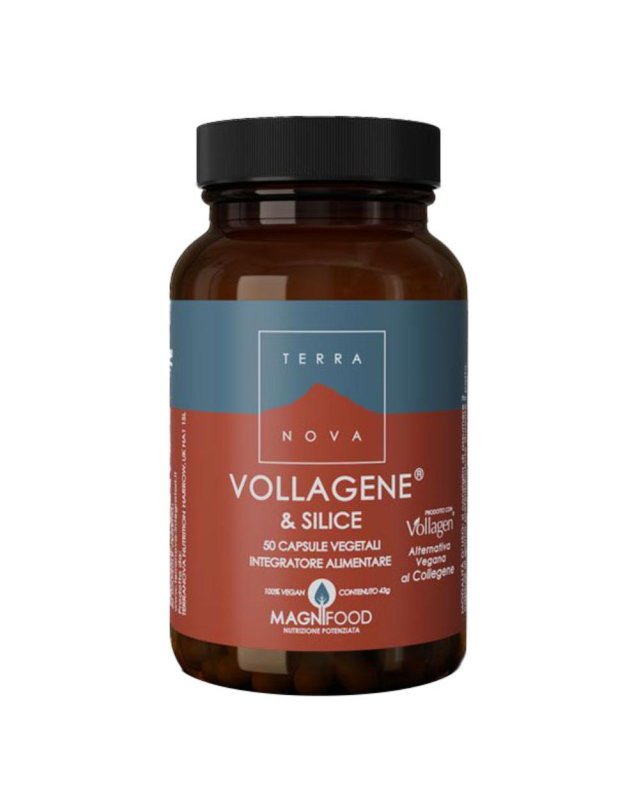 TERRANOVA VOLLAGENE&SILIC50CPS TERRANOVA VOLLAGENE&SILIC50CPS