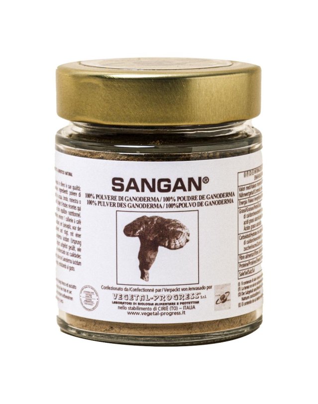 SANGAN POLVERE GANODERMA 45G