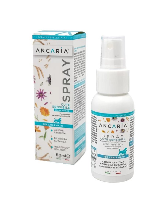 ANCARIA Loz.Spray 50ml