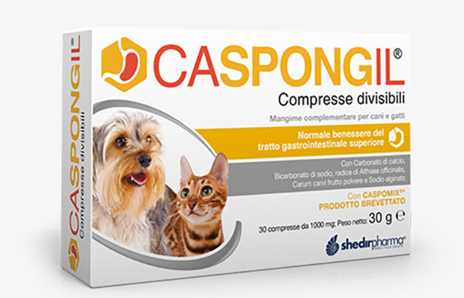 Caspongil: Supporto Gastrointestinale per Cani e Gatti